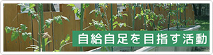 自給自足を目指す活動