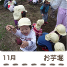 11月お芋堀の写真