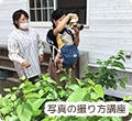 写真の撮り方講座