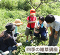 四季の雑草講座